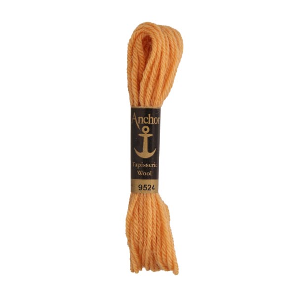 ANCHOR TAPISSERIE WOOL 10 X 10M SKEINS 9524