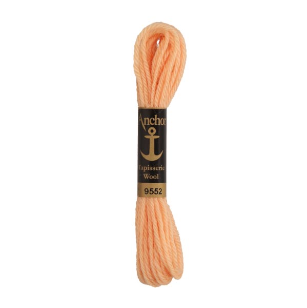 ANCHOR TAPISSERIE WOOL 10 X 10M SKEINS 9552