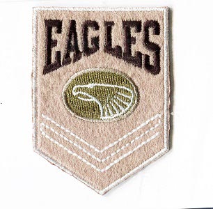 MOTIF EAGLES PATCH GREY/BLACK 2043