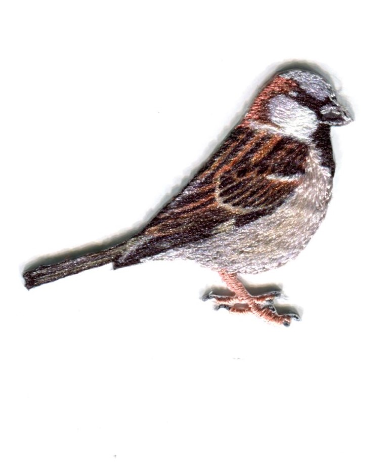 MOTIF HOUSE SPARROW