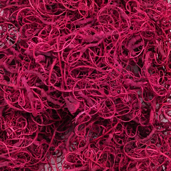 CURLY MOSS PINK 100G PINK