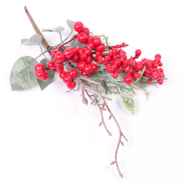 PICK WITH FOLIAGE/CANELLA BERRIES
